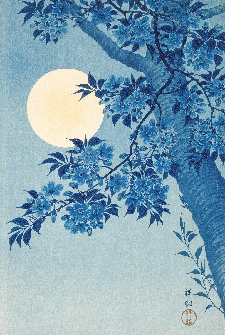 Night Blossom