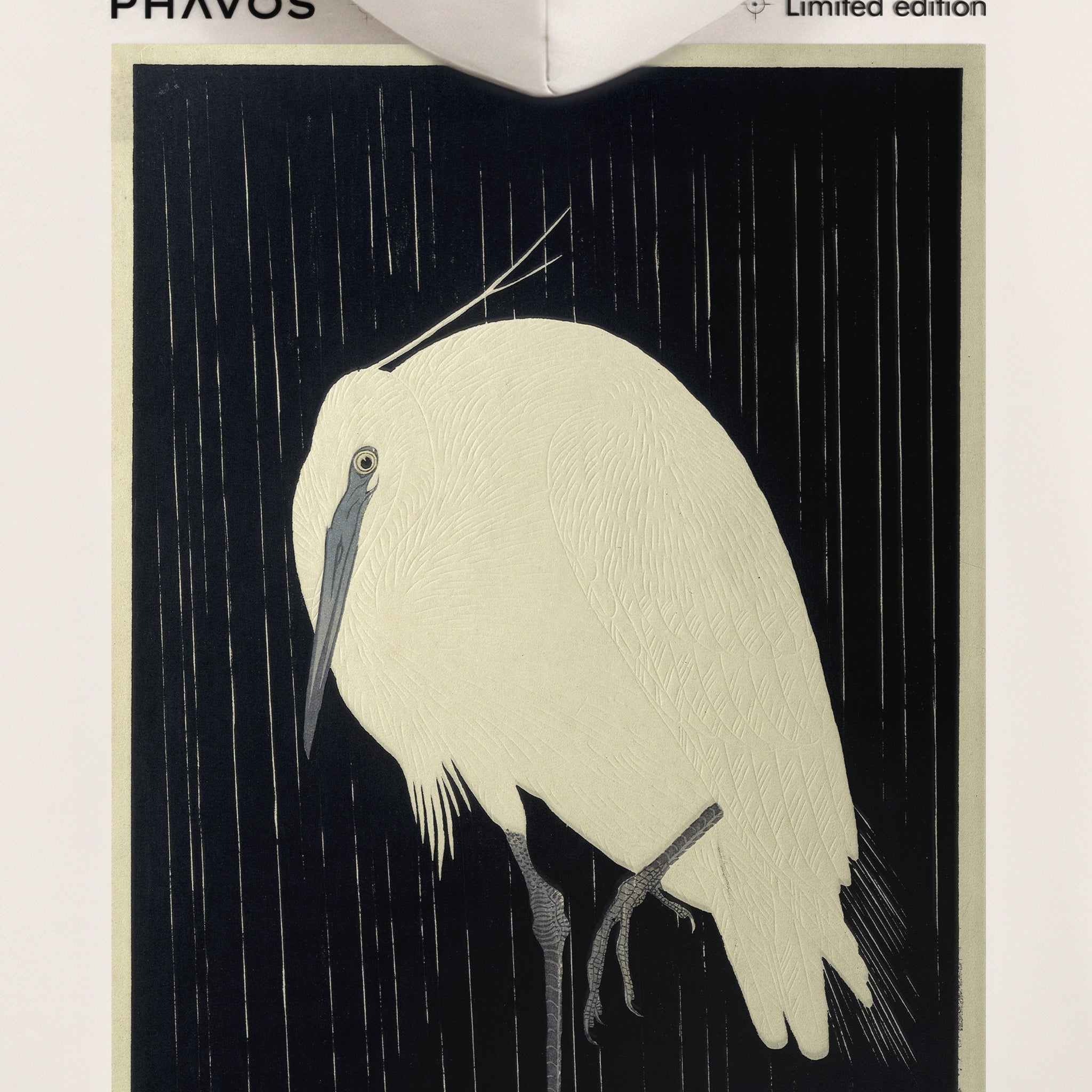 Egret in the rain